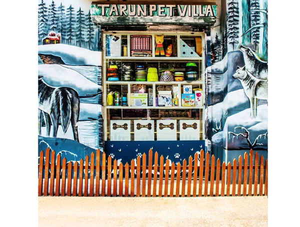 Tarun Pet Villa